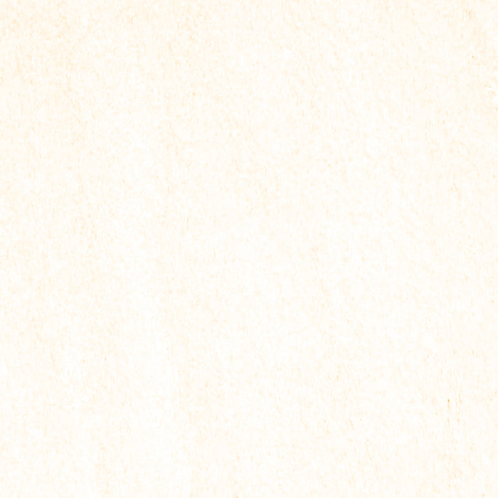 Machine Washable Solid Brown Modern Rug, wshcon464brn