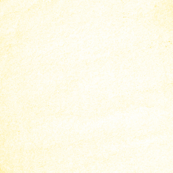 Square Machine Washable Solid Yellow Modern Rug, wshcon464yw