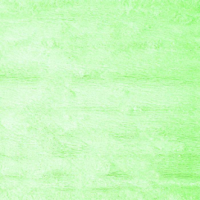 Serging Thickness of Solid Green Modern Rug, con466grn