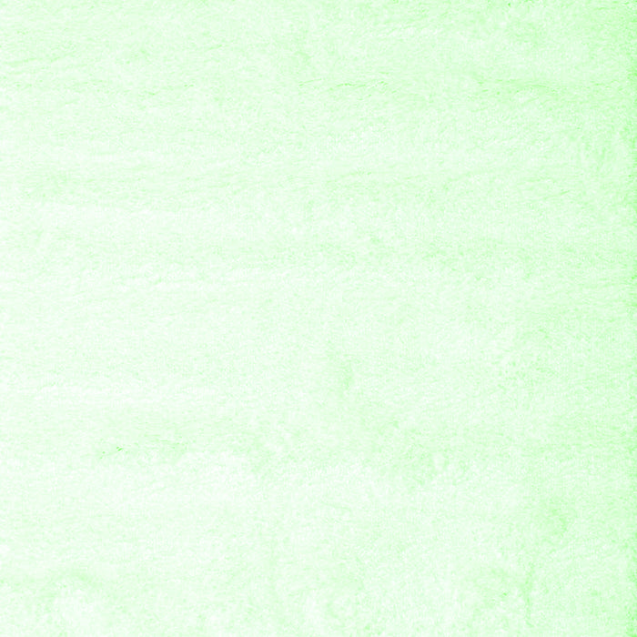 Solid Green Modern Rug, con472grn