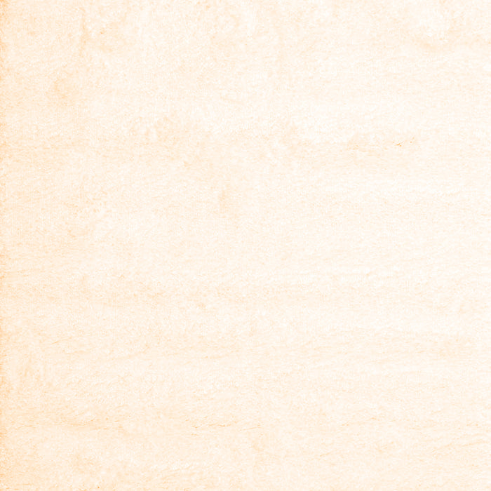 Serging Thickness of Machine Washable Solid Orange Modern Area Rugs, wshcon472org