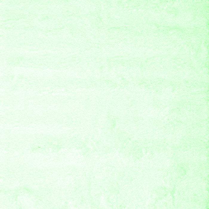 Solid Emerald Green Modern Rug, con472emgrn