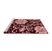 Contemporary Red Washable Rugs