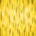 Square Solid Yellow Modern Rug, con524yw