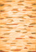 Solid Orange Modern Rug, con524org