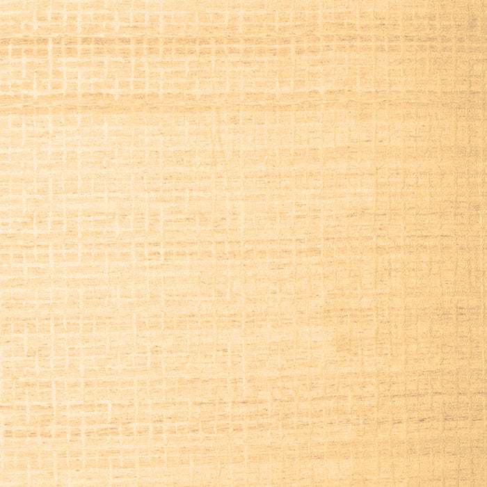 Machine Washable Solid Brown Modern Rug, wshcon533brn