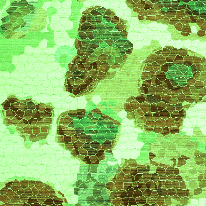 Abstract Green Contemporary Rug, con545grn