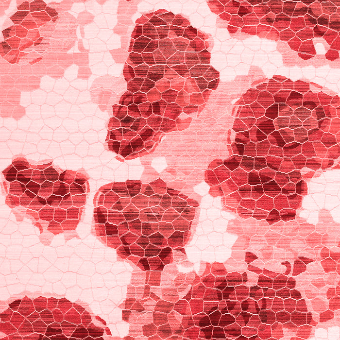 Abstract Red Contemporary Area Rugs