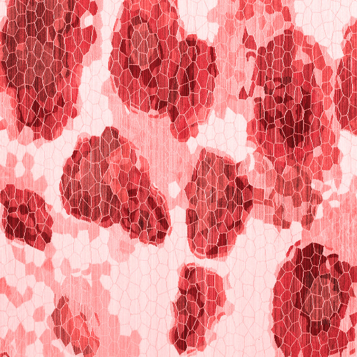 Abstract Red Contemporary Rug, con545red