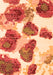 Serging Thickness of Machine Washable Abstract Orange Contemporary Area Rugs, wshcon545org