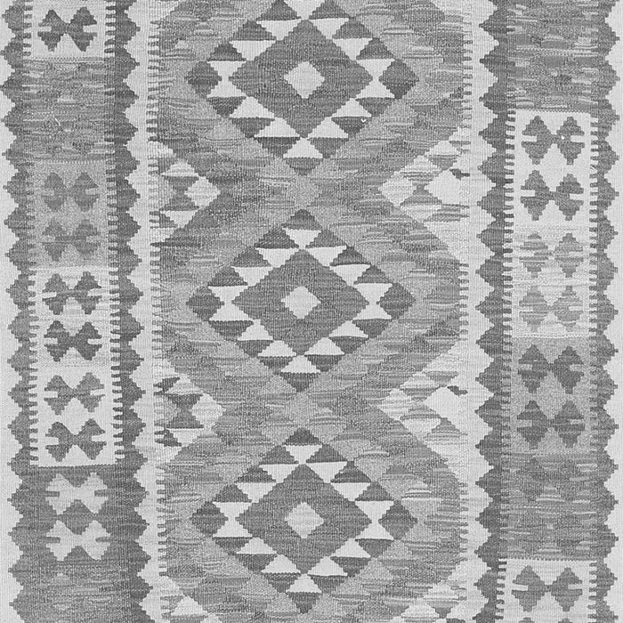 Oriental Gray Traditional Rug, con553gry