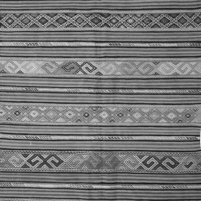 Oriental Gray Traditional Rug, con558gry