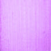 Square Machine Washable Solid Purple Modern Area Rugs, wshcon579pur