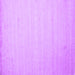 Square Solid Purple Modern Rug, con579pur