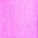 Square Solid Pink Modern Rug, con582pnk