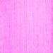 Square Solid Pink Modern Rug, con583pnk