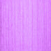Square Machine Washable Solid Purple Modern Area Rugs, wshcon587pur