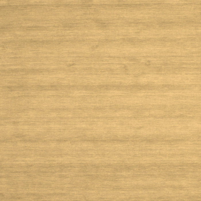 Machine Washable Solid Brown Modern Rug, wshcon587brn