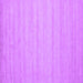 Square Solid Purple Modern Rug, con587pur