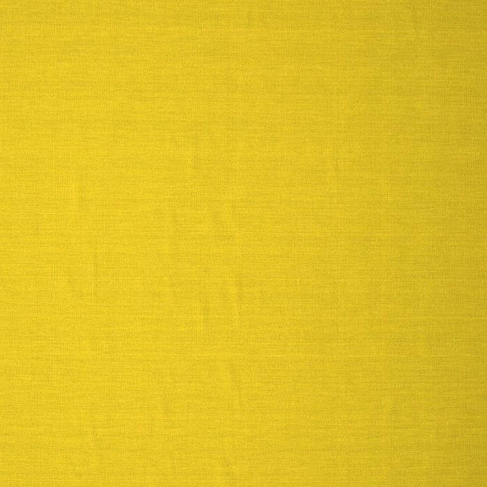 Machine Washable Abstract Yellow Contemporary Rug, wshcon610yw