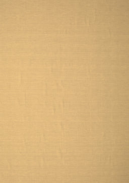 Abstract Brown Contemporary Rug, con610brn