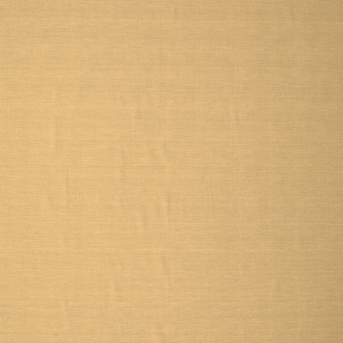 Abstract Brown Contemporary Rug, con610brn