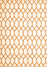 Terrilis Orange Contemporary Rug, con621org