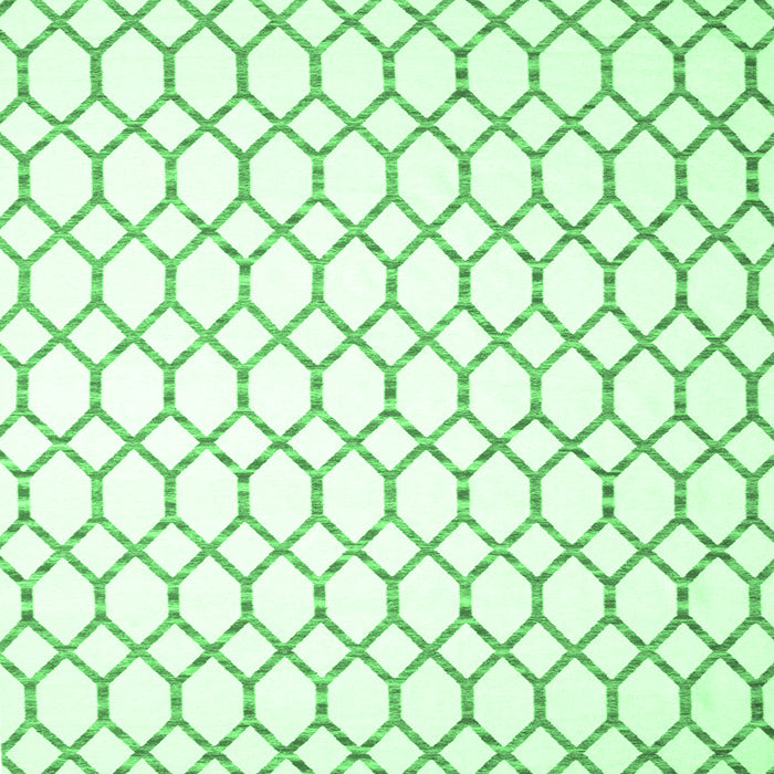 Square Machine Washable Terrilis Emerald Green Contemporary Area Rugs, wshcon621emgrn