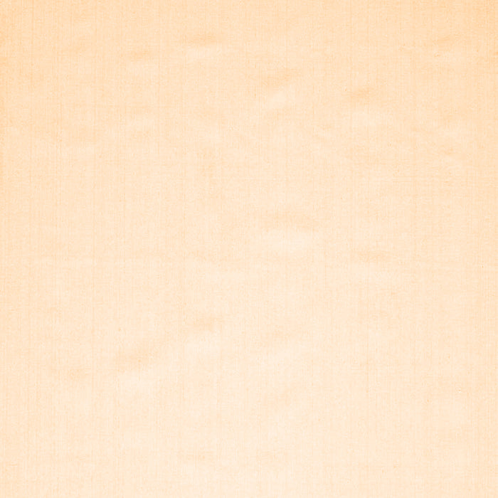 Serging Thickness of Machine Washable Solid Orange Modern Area Rugs, wshcon623org