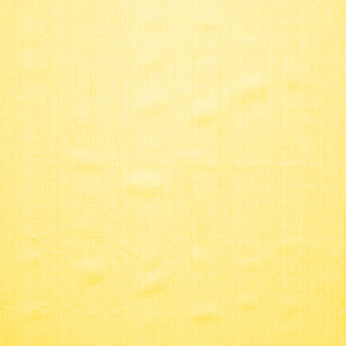 Machine Washable Solid Yellow Modern Rug, wshcon623yw