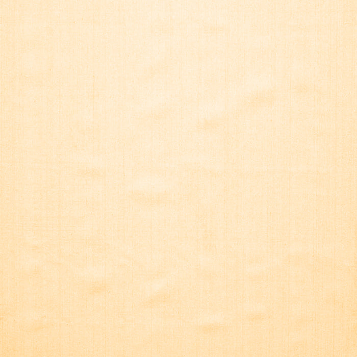 Solid Brown Modern Rug, con623brn