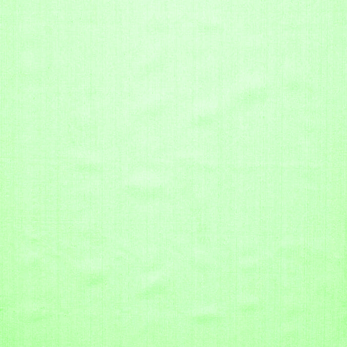 Solid Green Modern Rug, con623grn