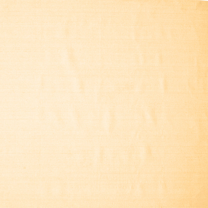 Square Machine Washable Solid Brown Modern Rug, wshcon623brn