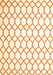 Terrilis Orange Contemporary Rug, con628org