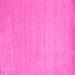 Square Machine Washable Solid Pink Modern Rug, wshcon62pnk