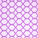 Square Machine Washable Terrilis Purple Contemporary Area Rugs, wshcon631pur