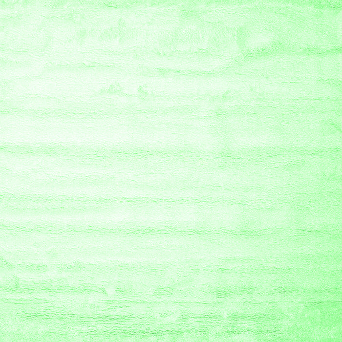 Square Machine Washable Solid Emerald Green Modern Area Rugs, wshcon644emgrn