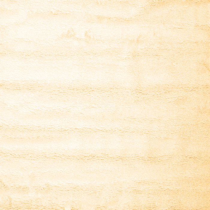 Solid Brown Modern Rug, con644brn