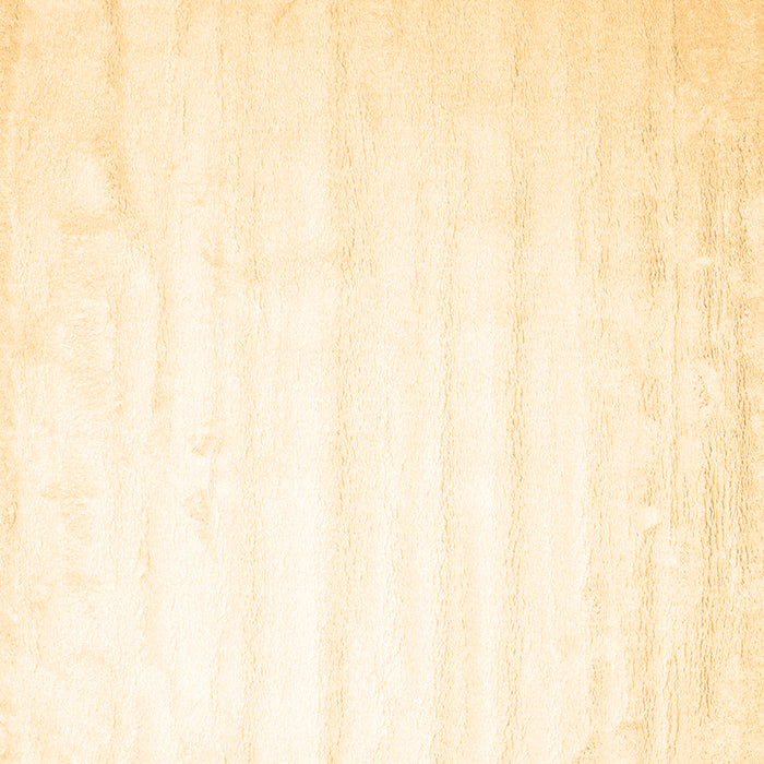 Square Solid Brown Modern Rug, con644brn