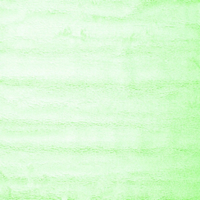 Solid Green Modern Rug, con644grn