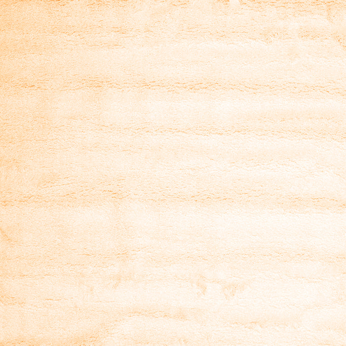 Solid Orange Modern Rug, con644org