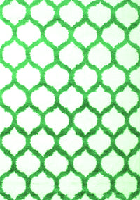 Terrilis Green Contemporary Rug, con646grn