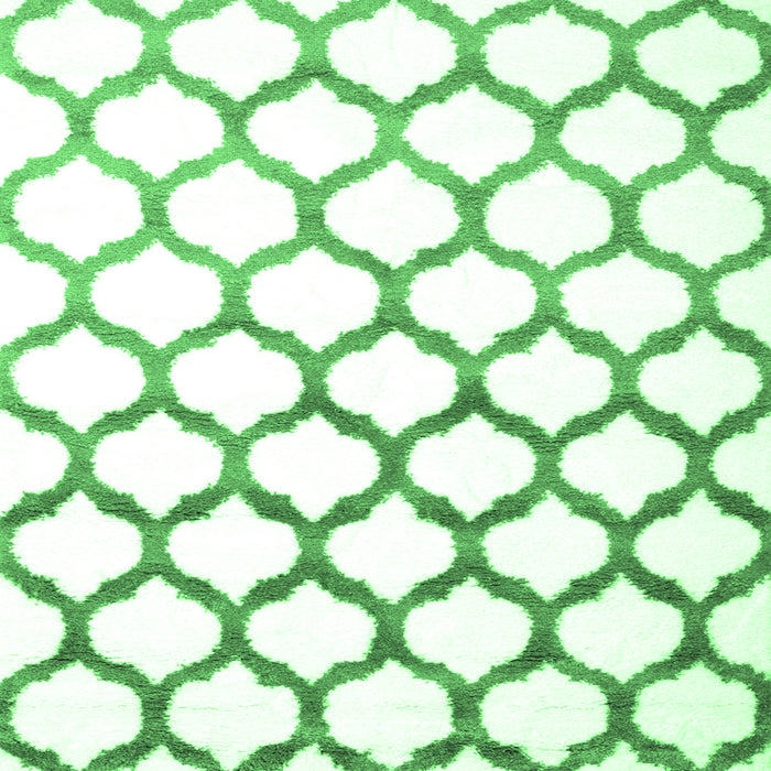 Square Machine Washable Terrilis Emerald Green Contemporary Area Rugs, wshcon646emgrn