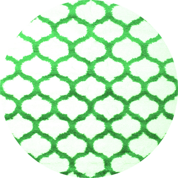 Square Terrilis Green Contemporary Rug, con646grn