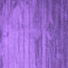 Square Machine Washable Abstract Purple Contemporary Area Rugs, wshcon647pur