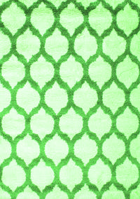 Terrilis Green Contemporary Rug, con648grn