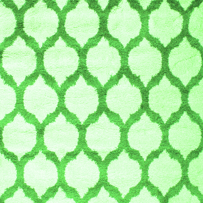 Terrilis Green Contemporary Rug, con648grn