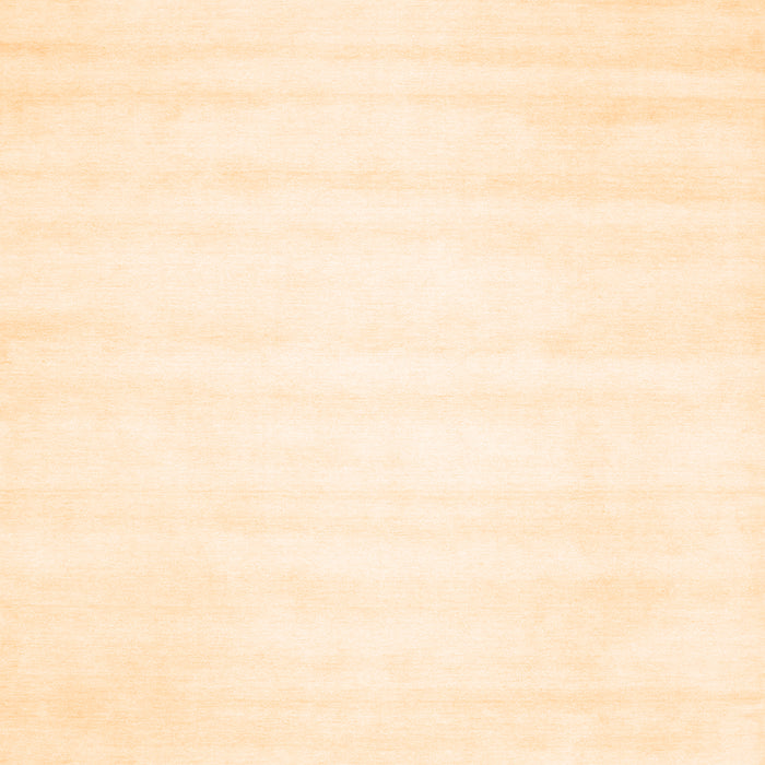 Solid Orange Modern Rug, con64org