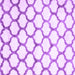 Square Machine Washable Terrilis Purple Contemporary Area Rugs, wshcon650pur
