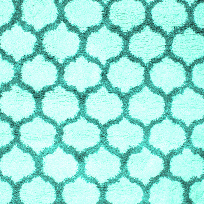 Terrilis Turquoise Contemporary Rug, con650turq